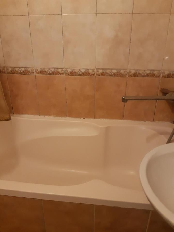 Homestay очень уютная, тихая, єко комната с видом на сад