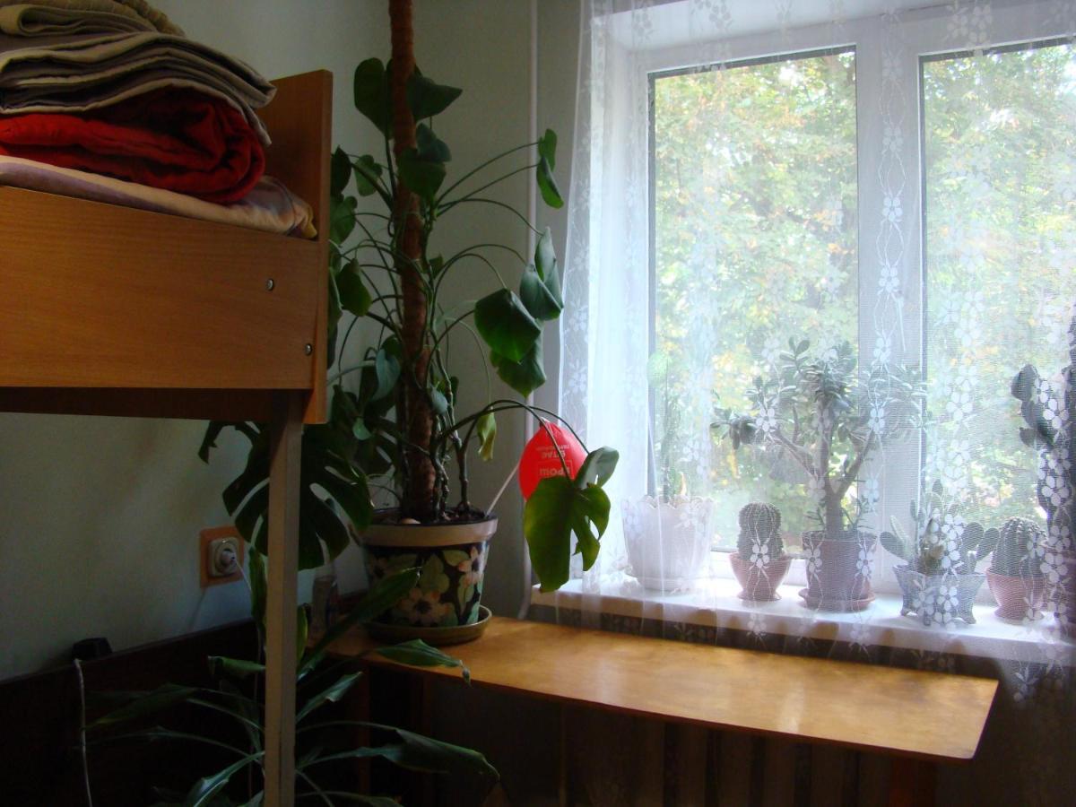 Homestay очень уютная, тихая, єко комната с видом на сад