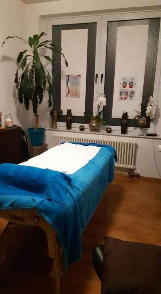 Homestay очень уютная, тихая, єко комната с видом на сад Vinnytsia